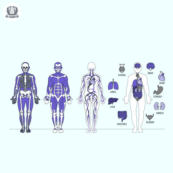 course image