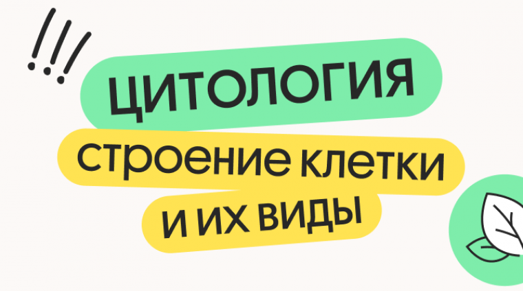 0e0bf124-0f08-4cf9-a5fc-74b03e6dc635