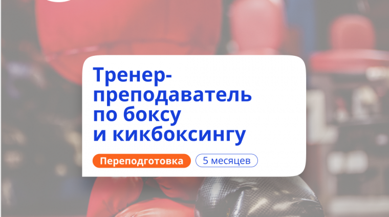 3l2rji8n59xcgrp42a6upmtc11bzv0w5