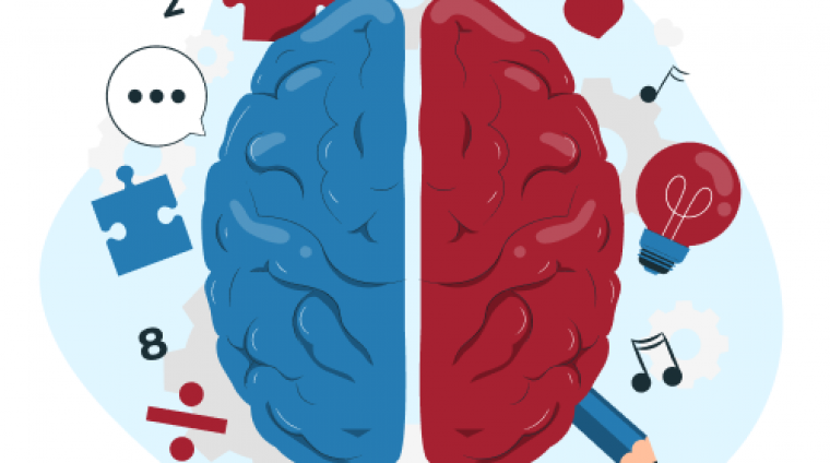 664afb0256cf7409382849