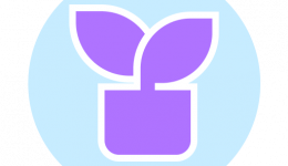 Курсы по грумингу