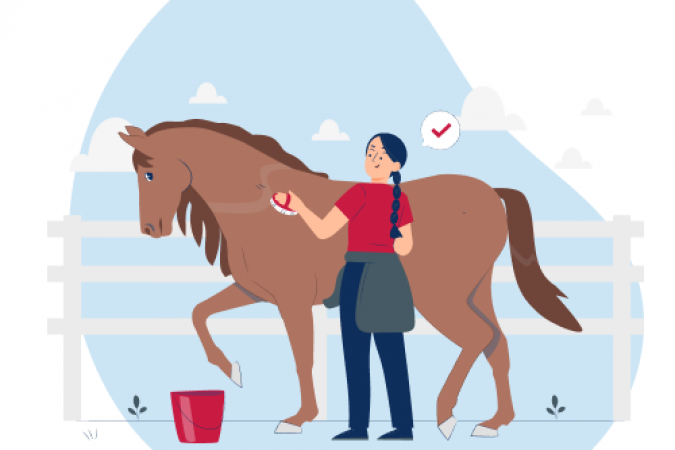 67c6cd8ff3a0a366584378