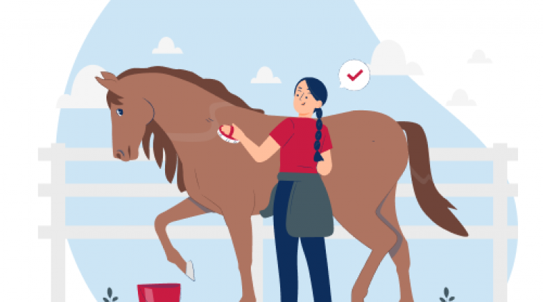 67c6cd8ff3a0a366584378