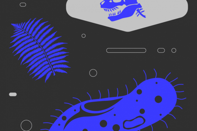 6bd837f8-b006-4bcb-ab75-d8ba20f2af91