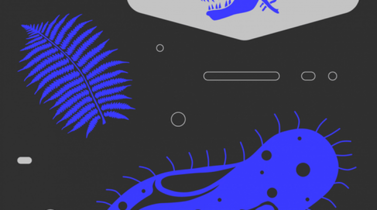 6bd837f8-b006-4bcb-ab75-d8ba20f2af91