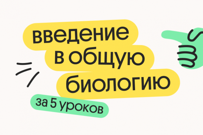 8d95f83b-8ad3-4333-8954-b7e43b8e3caf