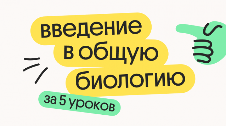 8d95f83b-8ad3-4333-8954-b7e43b8e3caf