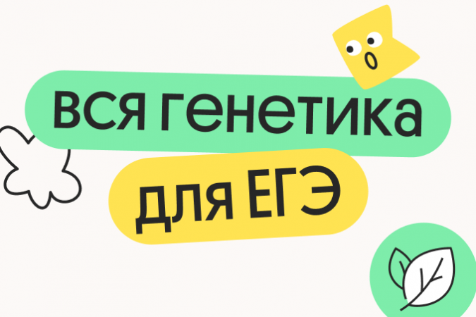 92e2b1c8-1117-42b3-929b-727c96dfc733