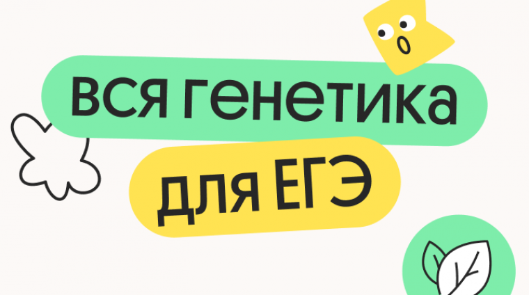 92e2b1c8-1117-42b3-929b-727c96dfc733