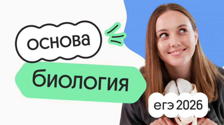 a3d7b5bd-f7b5-4f92-9a95-b18eeae7c89b