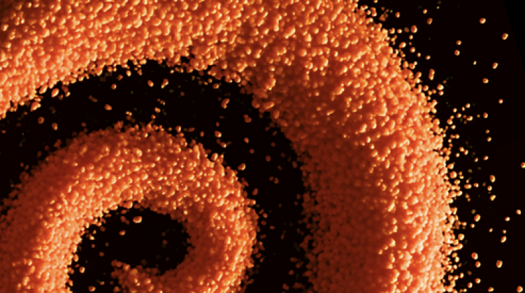 c5012141-7f77-454e-b5af-67e1abbb4c5c