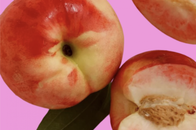 c9a7790f-0db0-43bc-8d09-552a32c8ea7b