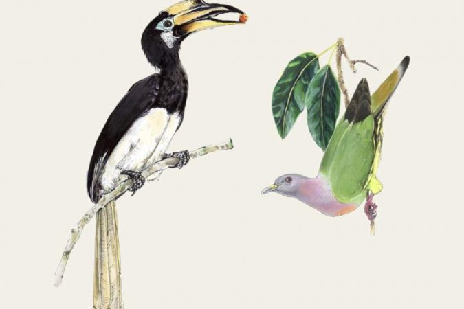 cd106966-c09d-4de0-aedd-efa8fef92924