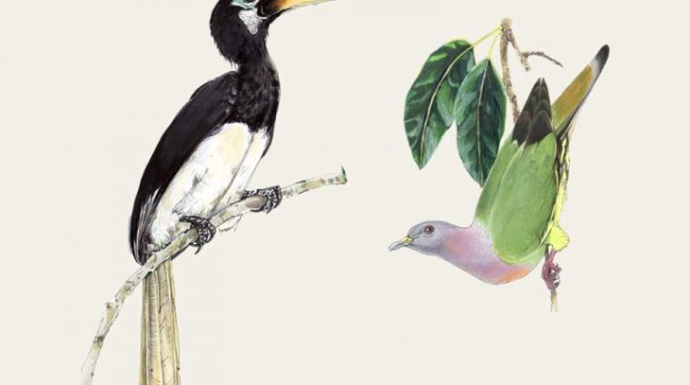 cd106966-c09d-4de0-aedd-efa8fef92924