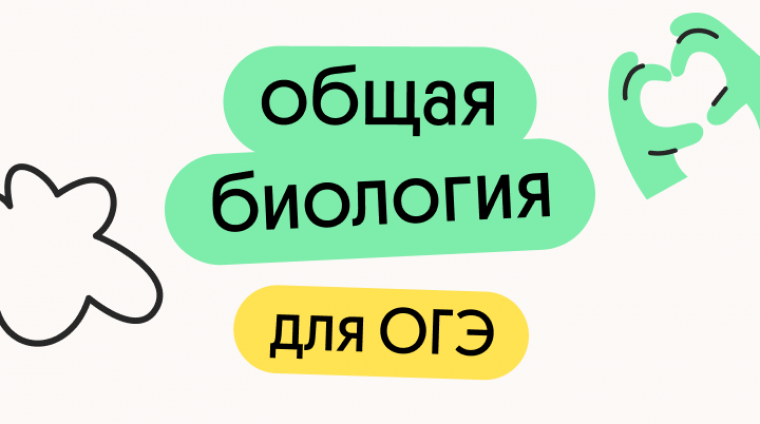 cde05974-c311-4e29-b7e1-41f826e5a154