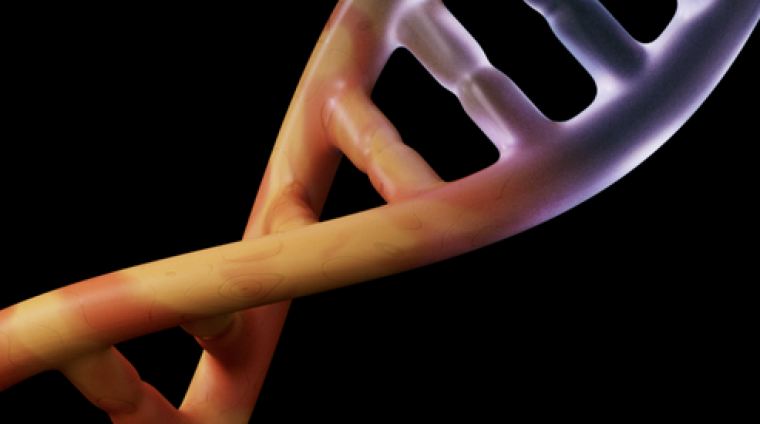 d4903c36-a4d8-4d03-8efe-6dbb1b4c287a