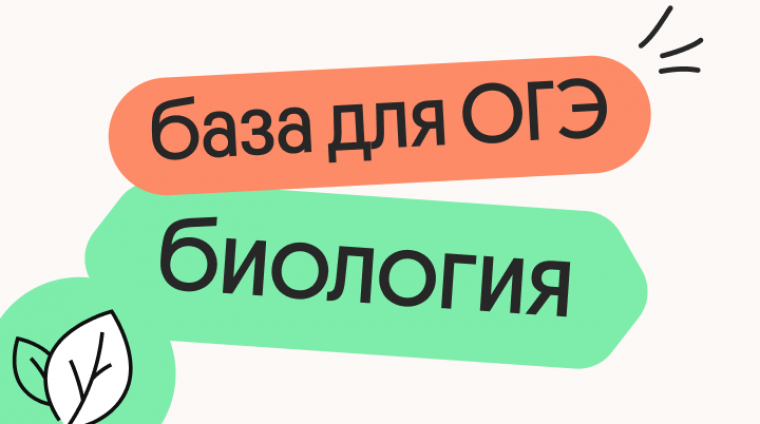 e763efb7-57fc-4486-9025-f4be5417081c