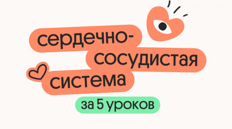 fc10f0d0-9a77-4bf3-8a5f-8ece81174a41