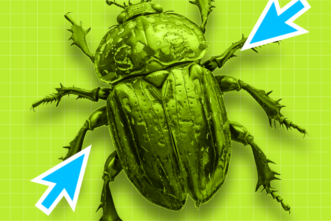 inzhener_po_testirovaniyu_s_nulya_2025