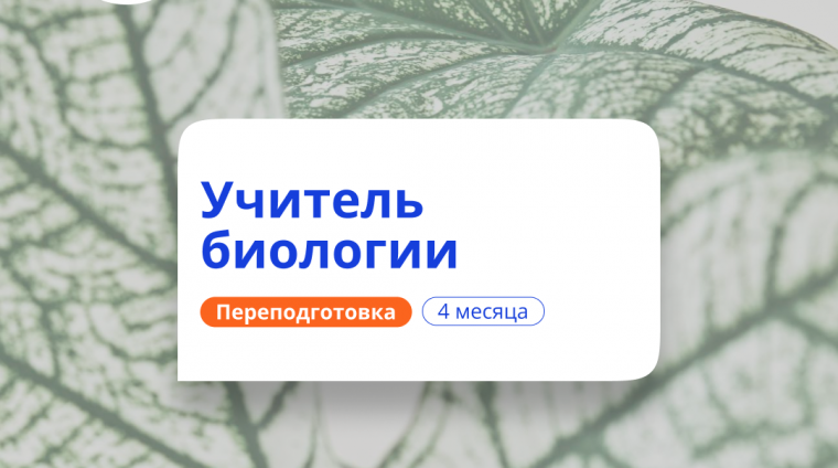 og2he19asu5xeb2nfruia5vs1k4zrcty