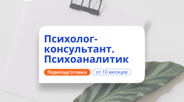 s8zc6y5t3t24i0b3gpqfe00gz8jxlqzx