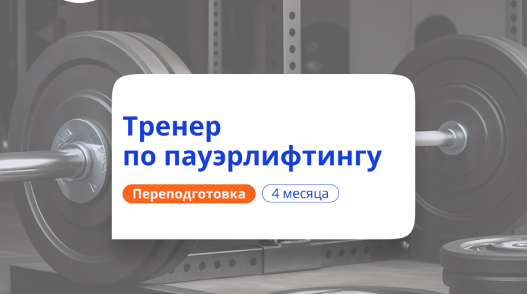 z1bk07f648m412582pfwzulemki2sft1